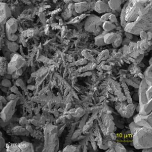 Thạch học và Khoáng vật học (Petrology &amp; Mineralogy)